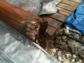 pine post